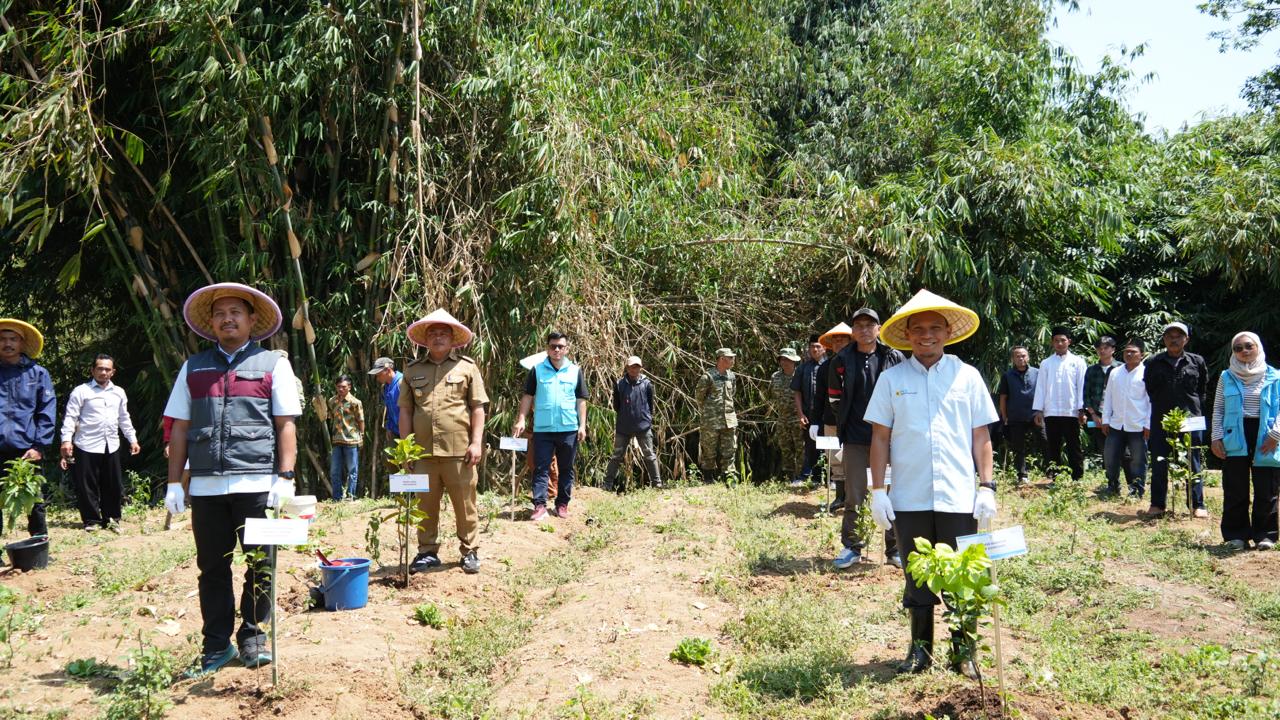 PLN Indonesia Power UBP Kamojang Darajat Geothermal Unit Strengthens Water Source Conservation Through Tree Planting in Pasirwangi